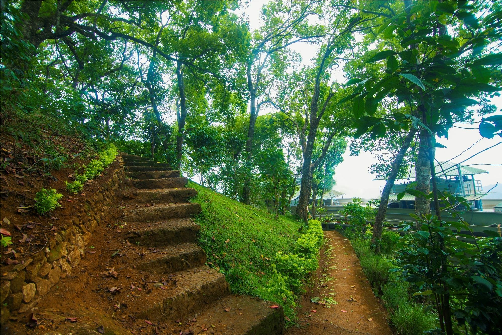 Forest Glade Resorts Chithirapuram Bagian luar foto