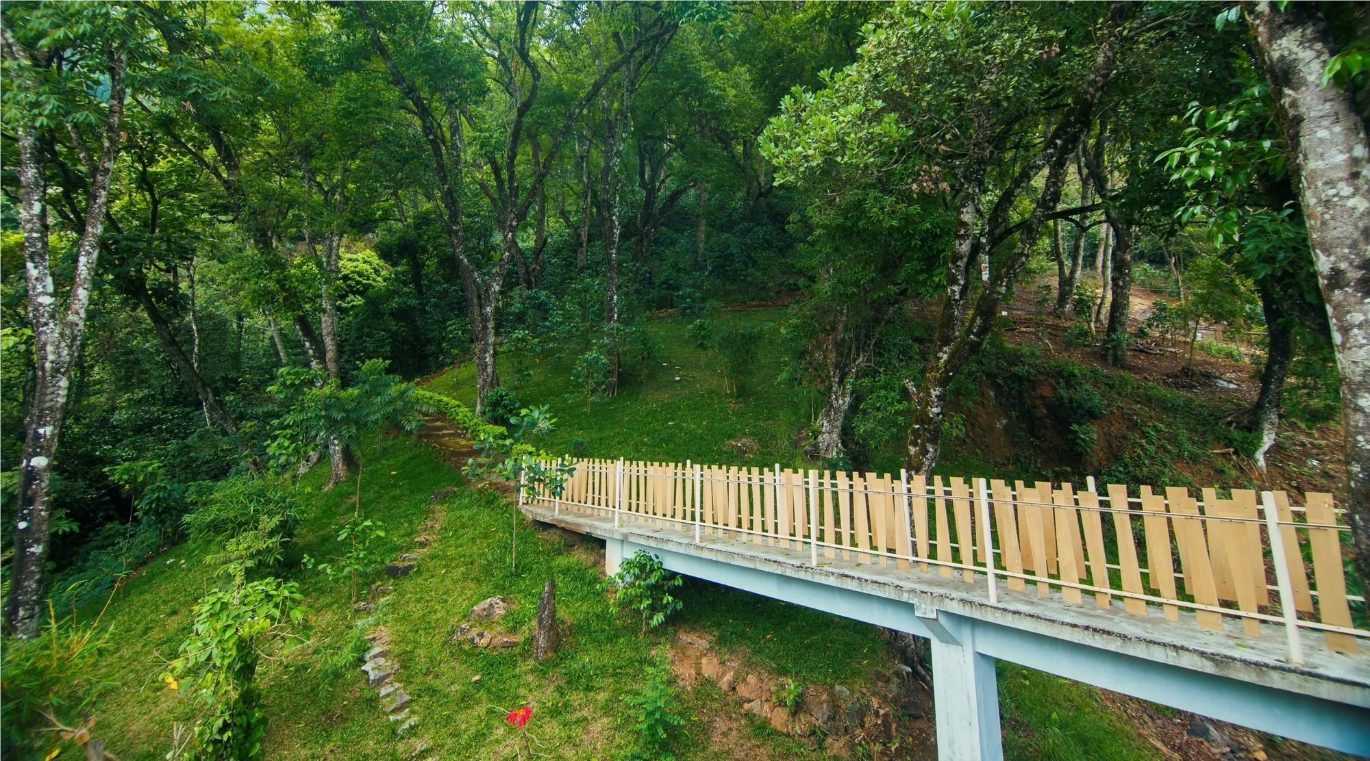 Forest Glade Resorts Chithirapuram Bagian luar foto